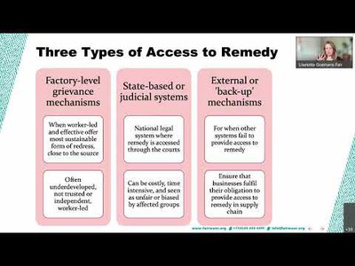 Technical Seminar 2: Grievance Mechanisms - An overview of options for manufacturers