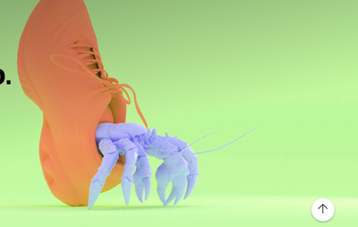 Neonyt: Change the setup