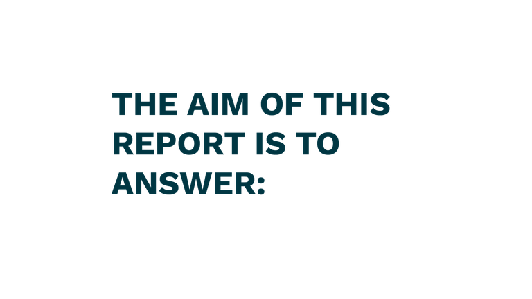 the aim of the report