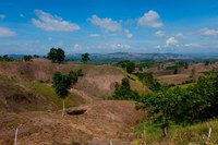 Responding to the recent pressures on deforestation-free leather sourcing: Joint Textile Exchange and Leather Working Group Conference call