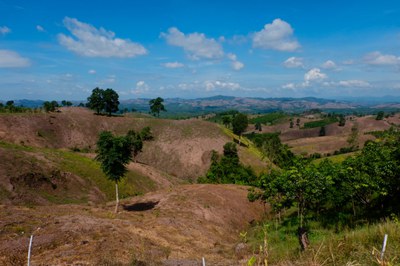 Responding to the recent pressures on deforestation-free leather sourcing: Joint Textile Exchange and Leather Working Group Conference call