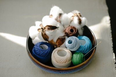 Elevating Denim Sustainability: Maximizing regenerative cotton