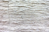 Better Cotton Introduction for Retailers & Brands