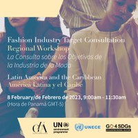 Fashion Industry Target Consultation Workshop Latin America