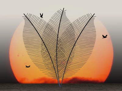 Sedex Xplore Sustainability