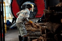 Sustainable Alternative Fuel Sources for Garment Factories in Cambodia