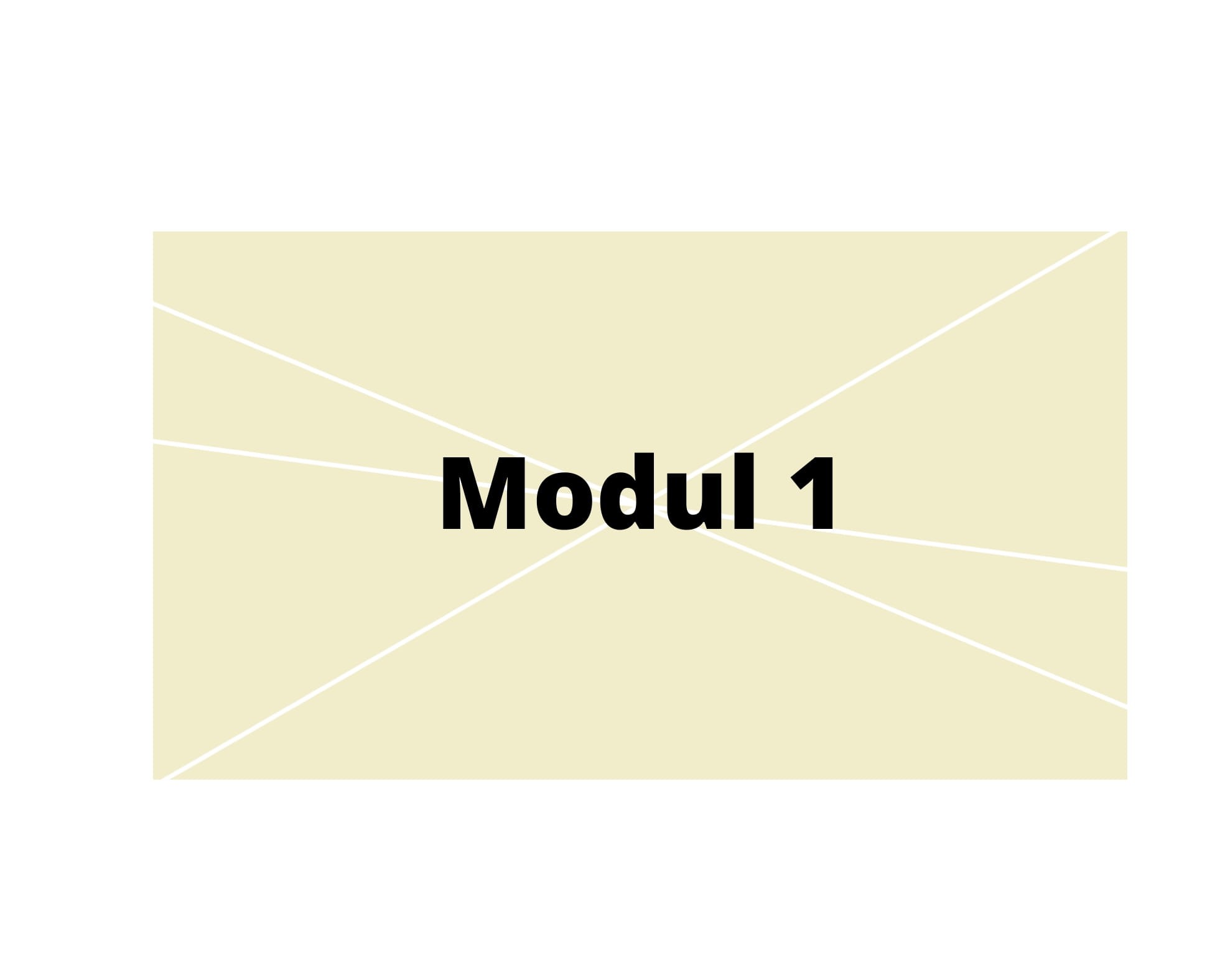 Modul 1.jpg