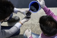 BD_environmental_standards_sample_high resolution_Copyright Sabrina Asche.jpg