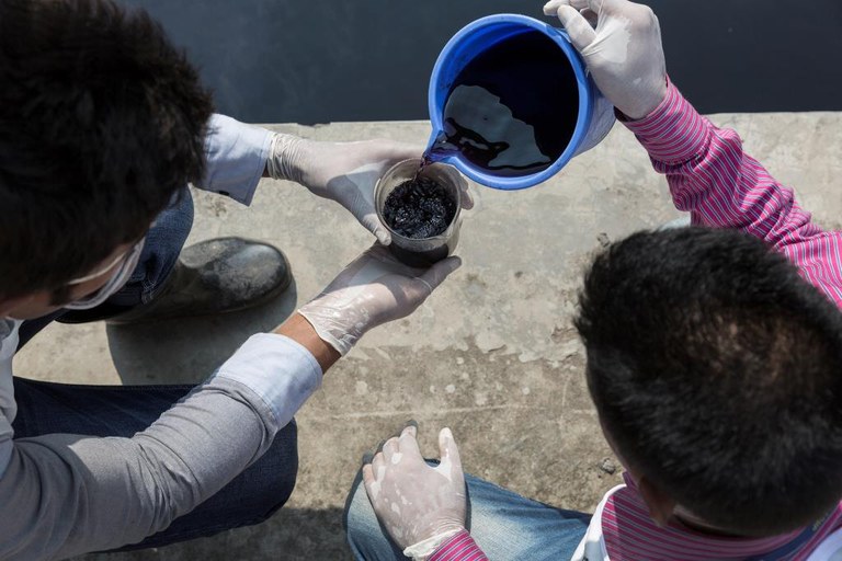 BD_environmental_standards_sample_small resolution_Copyright Sabrina Asche.jpg