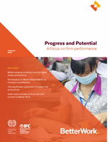 Progress and potential - focus on firm performance