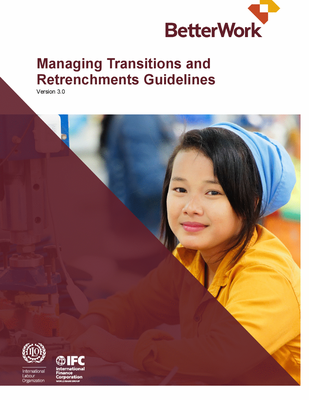 Managing Transitions and Retrenchments Guidelines