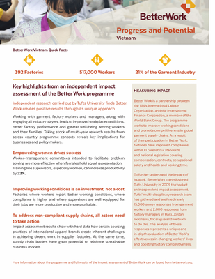 Progress and Potential Vietnam