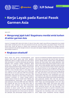 Mengurangi jejak kaki? Bagaimana menilai emisi karbon di sektor garmen Asia