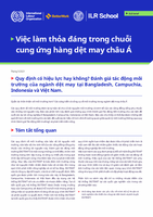 Quy định có hiệu lực hay không? Đánh giá tác động môi trường của ngành dệt may tại Bangladesh, Campuchia, Indonesia và Việt Nam