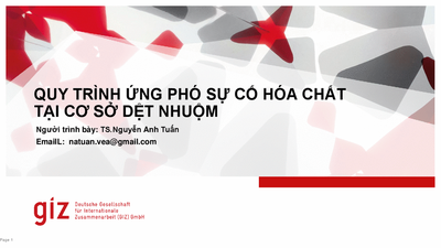 Thematic Workshop 1: Chemical incident response process at a textile dyeing facility