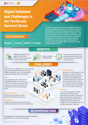 Digital Solutions and Challenges in the Textile and Garment Sector