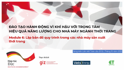 CAT Energy Efficiency - Module 6 (Vietnamese)