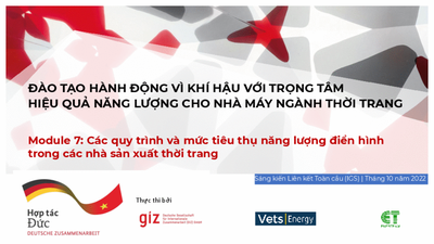 CAT Energy Efficiency - Module 7 (Vietnamese)